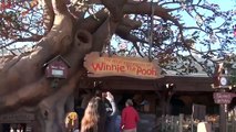 The Many Adventures of Winnie the Pooh - Magic Kingdom - Walt Disney World