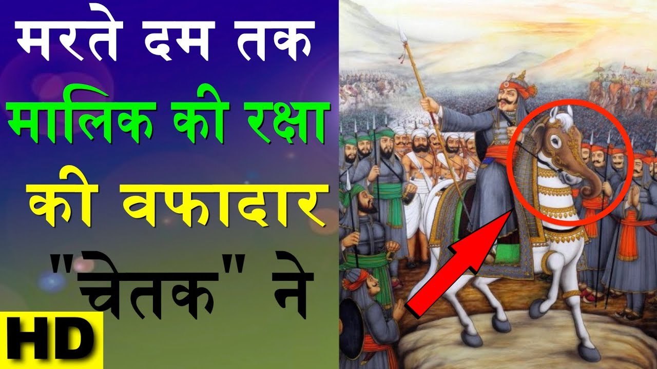 महाराणा प्रताप का अद्भुत घोड़ा चेतक की कहानी | Story Of Maharana Pratap Horse "Chetak" | Fact India