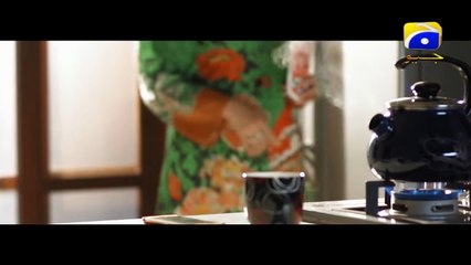 Tere Bina - Episode 30 - Har Pal Geo