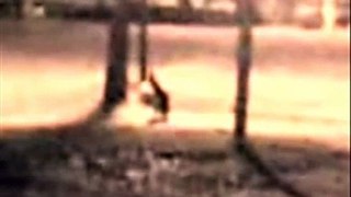 10 Strange Creature Sightings Caught on Tape. Aliens, Demons, Ghosts, Angels and Monsters. Scary.