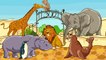 Мультик для детей про животных - Животные в зоопарке - Развивающий мультфильм для малышей