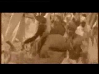 القول قول الصوارم