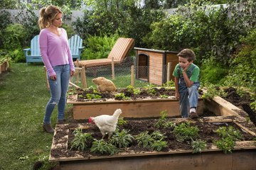 Fuller House (Season 2 Episode 7) F.U.L.L : (O.F.F.I.C.A.L O.N \ Netflix) (Streaming)