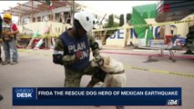 i24NEWS DESK | Frida the rescue dog hero of Mexican earthquake | Saturday, September 23rd 2017