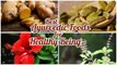 Best Ayurvedic Foods for Healthy Being  | School of Ayurveda and Panchakarma | 9895268511