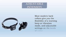 Advantages of dog bark collar