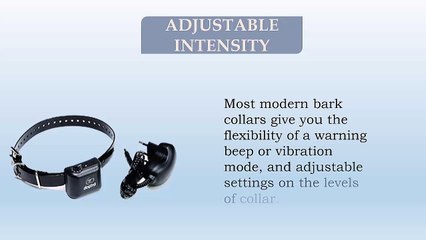 Advantages of dog bark collar