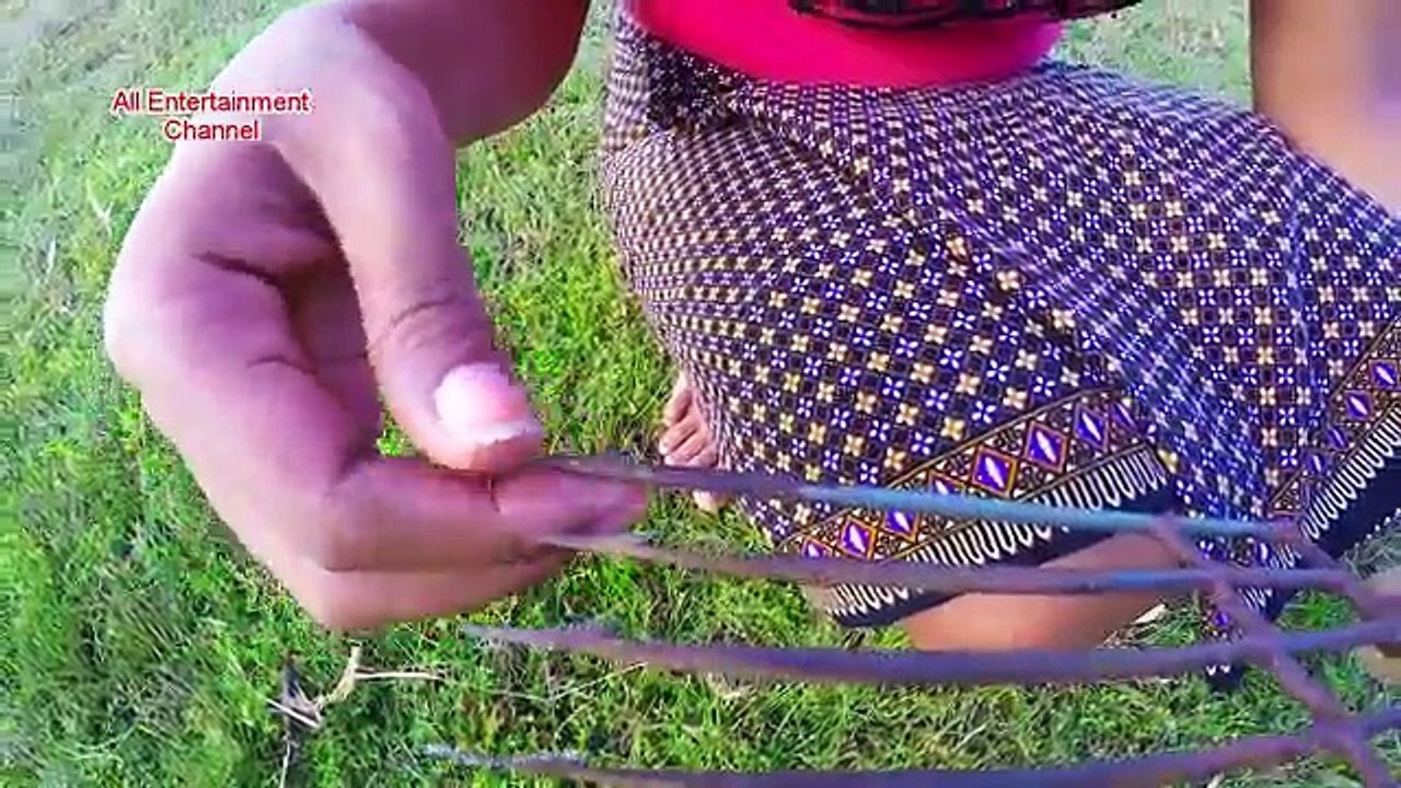 Beautiful Girl Catch Fish In The Pond​​ -Cambodia Traditional Fishing