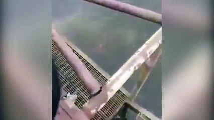 شاهد نهاية ساحر بين فكيّ تمساح