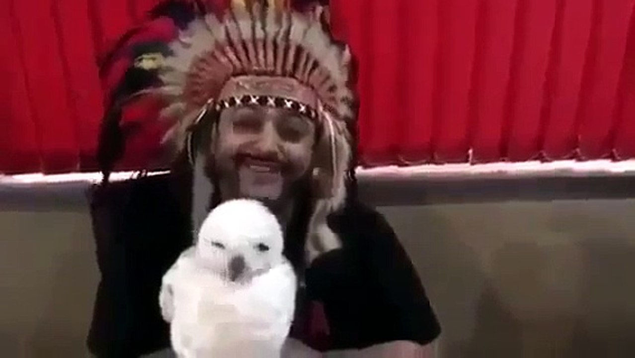 BB Ki Vines- | Baba Ji |