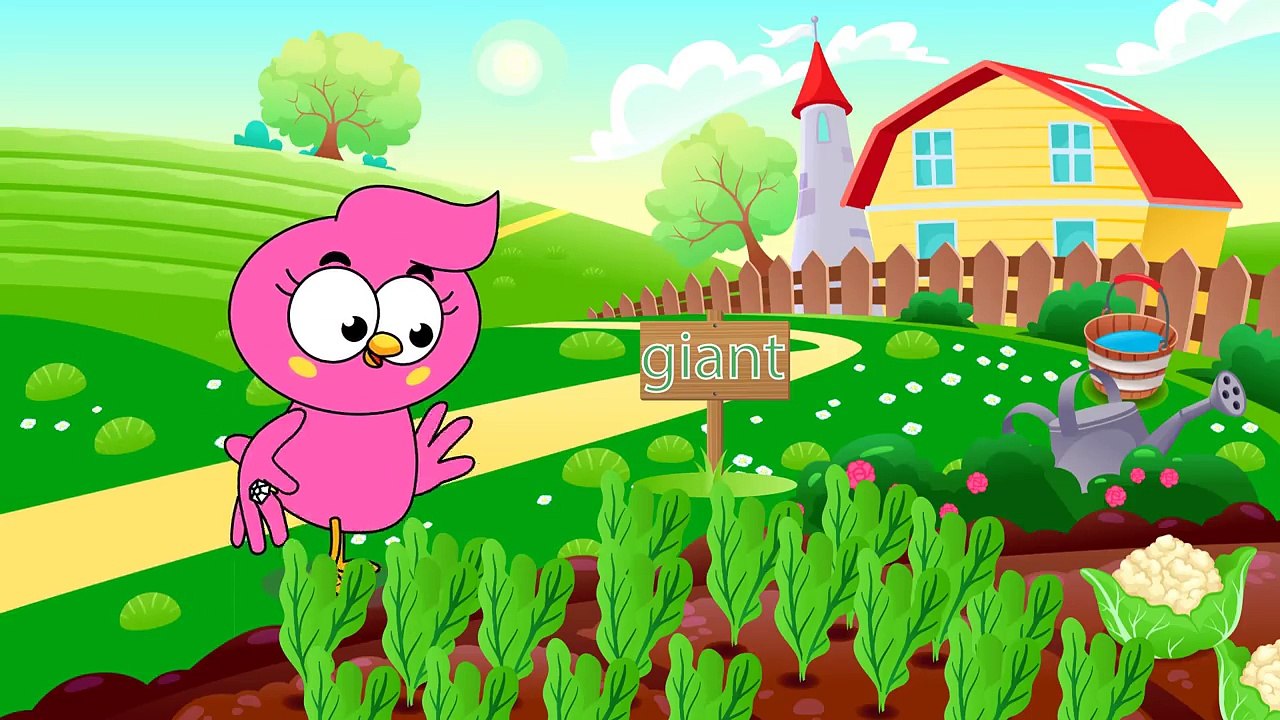 Birds Family Bodybuilders Full Episodes Cartoon Animation Nursery Rhymes