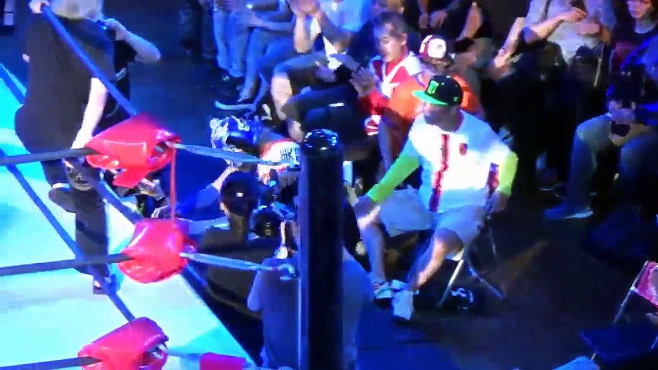 Red Stars Block Winner vs. Blue Stars Block Winner - Stardom 5 Star Grand Prix (2017) - Day 9