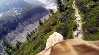 The Best of Eagle Attacks Caught on Video Most Amazing Wild