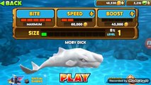 Обзор Обновление! Новая Акула Моби Дик ( Moby Dick )! Hungry Shark Evolution!