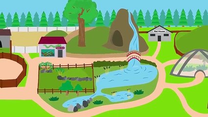 Number Zoo Hide and Seek Part 1 | Animals For Kids | Toddler Fun Learning