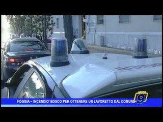 Foggia |  Incendiò bosco per ottenere lavoro dal Comune