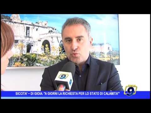 Siccità | L'assessore regionale Di Gioia: Pronti per richiedere lo stato di calamità