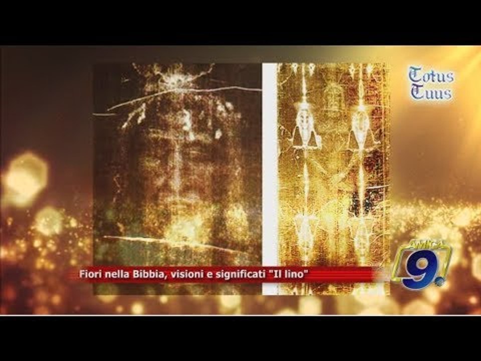 Totus Tuus | Fiori e piante nella Bibbia, visioni e significati "Il Lino"