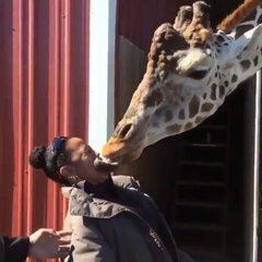 Hayvanların ne zaman ne yapacağı belli olmaz :D