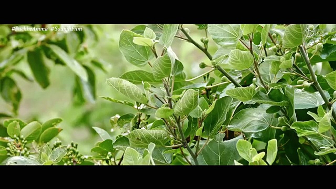Puchhe Amma - Mohit Chauhan - Pavithra Chari - Saanjh Film - FULL VIDEO