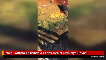 İzmir - Arıtma Tesisindeki Çatlak Denizi Kırmızıya Boyadı