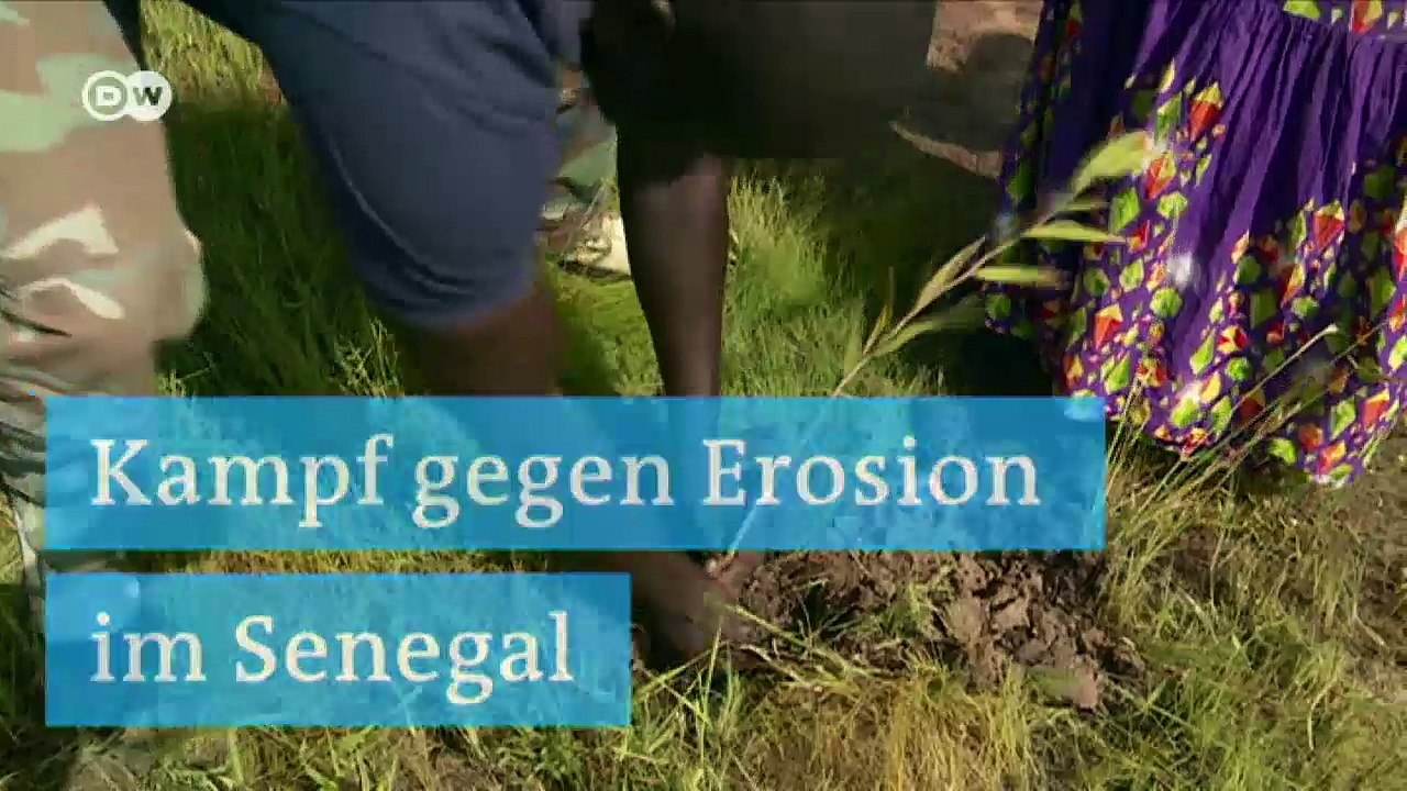 Mitbestimmung beim Klimaschutz in Senegal? | Wissen & Umwelt