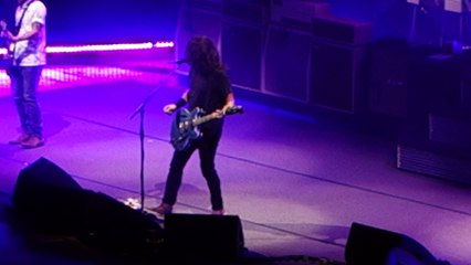 Foo Fighters - Learn to Fly