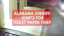 Alabama sheriff hunts for thief who stole toilet paper