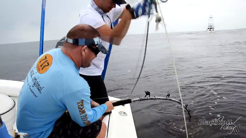 Lets Catch Some Giant Groupers Ft Chew On This Video Dailymotion