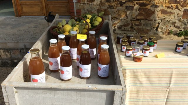 Deuxième édition de la fête de la pomme