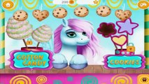 Fun Pet Care Kids Games - Play & Learn Colors Beauty Hair Salon Makeover Pony Game for Girls