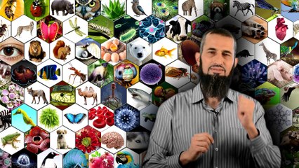 " رحلة اليقين ~17~ ... العظمة في كل مكان " د.إياد قنيبي