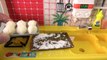 Cooking toys Making dumplings in Licca chan kitchen (Inedible)Konapun