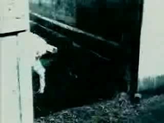 YouTube - The Ring Samara Morgans Cursed Videotape