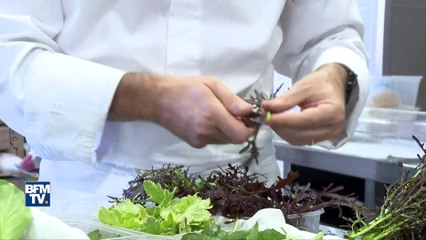 Sébastien Bras, le chef qui renonce à ses étoiles Michelin