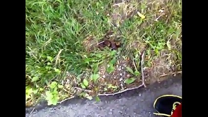 SLENDER-MAN IN REAL LIFE JUNE new (caught on tape)