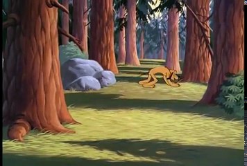 Walt Disneys Pluto the Dog: Plutopia (1951)