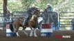 Trail Course at National Little Britches Finals 2017
