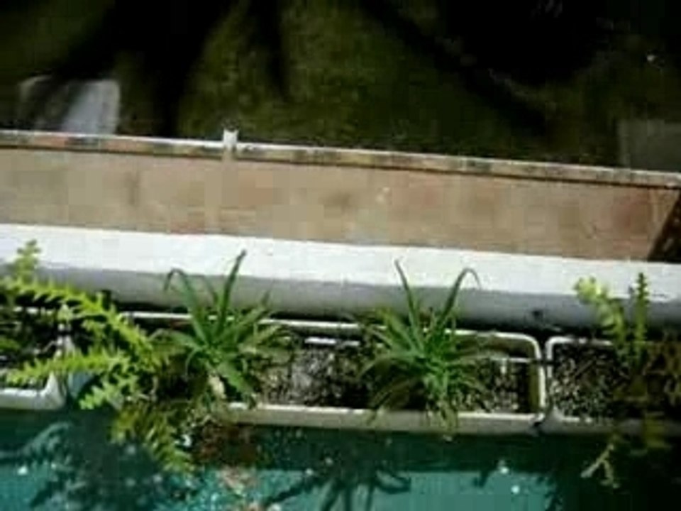 salade de thon facon Noam