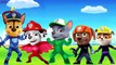Paw Patrol Transforms Into PJ Masks Finger Family Song - Paw Patrol Mickey Mouse Nursery R