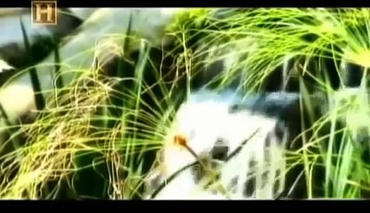 A procura do Jardim do éden (Dublado) Documentario -
