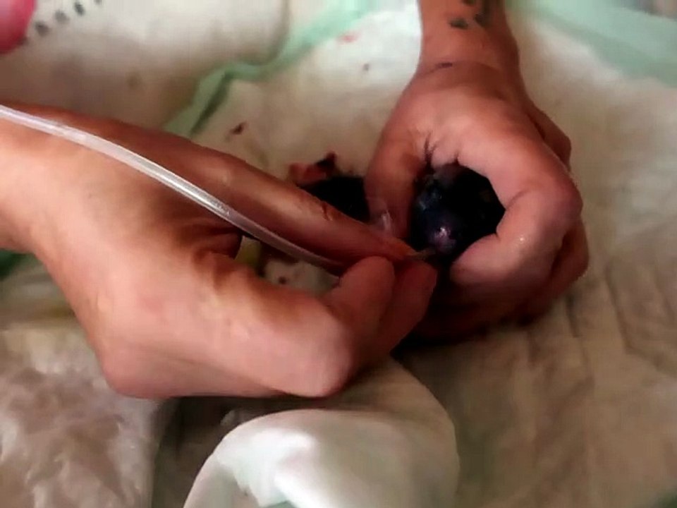 13-09-17 birth baby boy Léto x Roméo