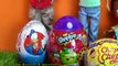 Família Doutora Brinquedos Surpresa em português - McStuffins Doctor and Family Surprise