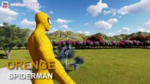 Learn Colors with SPIDERMAN For Kids Children 3D Colors Animation Learning Videos for Children