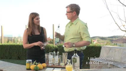 Tom Collins Cocktail - Home Bar Basics with Dave Stolte - Small Screen