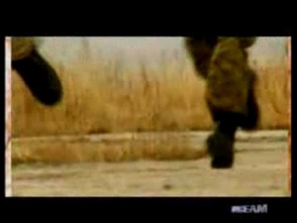 Mon Ta Rep-Xairaa sana (Mongolian Hiphop)