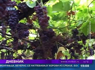 Dnevnik, 23. septembar 2017. (RTV Bor)