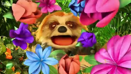 ZingZillas Zingbop - Series 1 - 17 - Drift Away