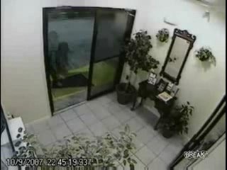 Les Régis Cambrioleurs