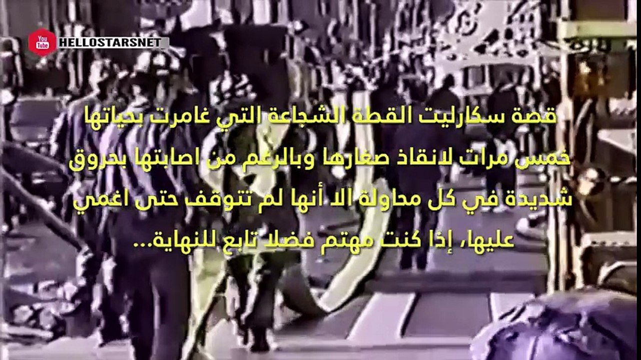 قطة تدخل النار وتحترق خمس مرات بدافع الامومة مؤثر جدا